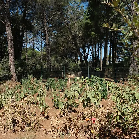 Masahome Vakantiehuis Caltagirone