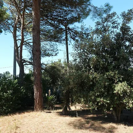 Masahome Caltagirone